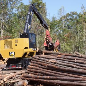 Cover photo for Timber Industry in North Carolina Contributed Over $915 Million in 2017