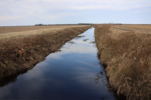 Cover photo for WOTUS: New Definition of Clean Water Act Jurisdiction